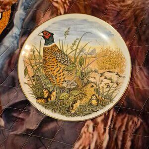 Southern Living Multi Dinnerware